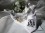 /environment/cache/images/300_300_productGfx_7dd79e50bb1ce18c6b54023e714fa6fb.jpg