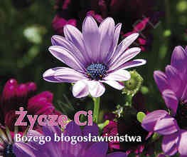 Życzę Ci Bożego błogosławieństwa. Perełka