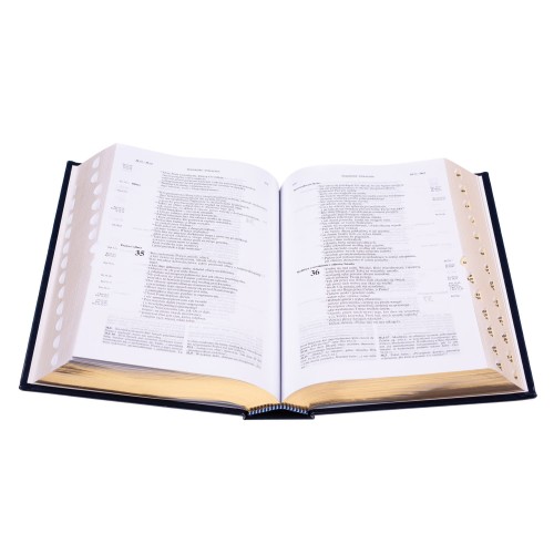 Biblia Jerozolimska (eko skóra, złocone brzegi, paginatory)