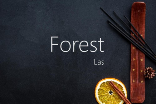 Kadzidło Indyjskie patyczki - Zapach lasu