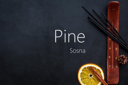Kadzidło Indyjskie patyczki - Sosna