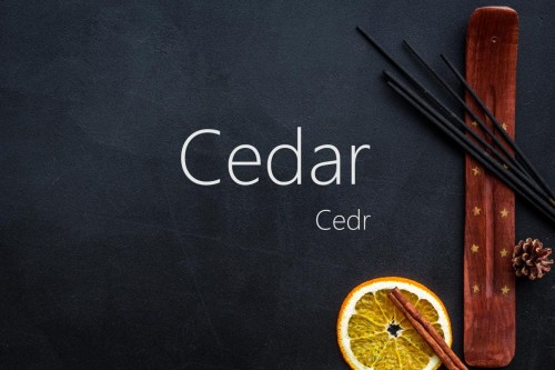 Kadzidło Indyjskie patyczki - Cedr