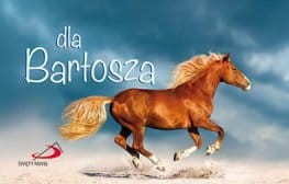 Dla Bartosza- seria "Imiona"