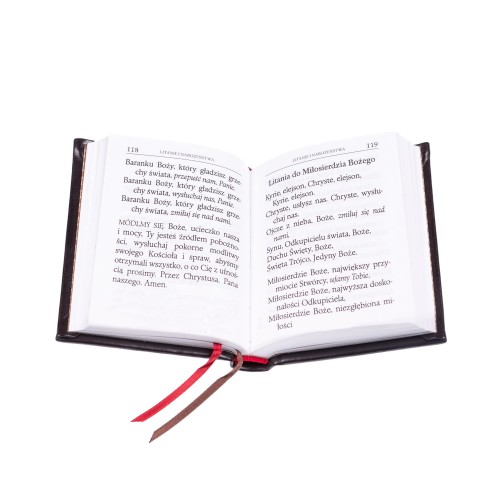 Modlitewnik Ojcze, powierzam się Tobie (oprawa ciemny brąz) PROMIC