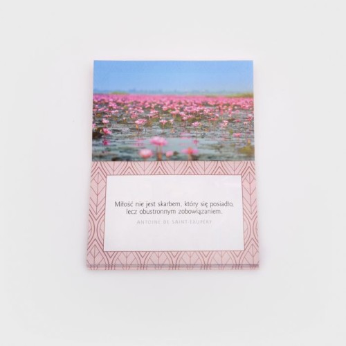 Dla Ireny - seria "Imiona"