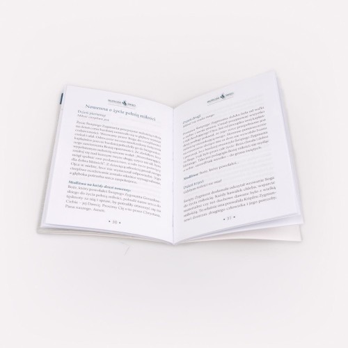 Święty Zygmunt Gorazdowski. Seria: Skuteczni Święci