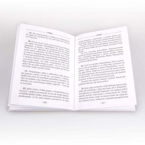 Dobrego dnia ze św. Maksymilianem Marią Kolbem Myśli na każdy dzień roku