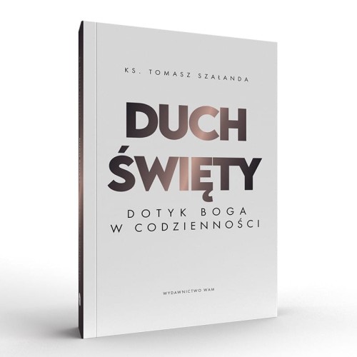 Duch Święty Dotyk Boga w codzienności książka