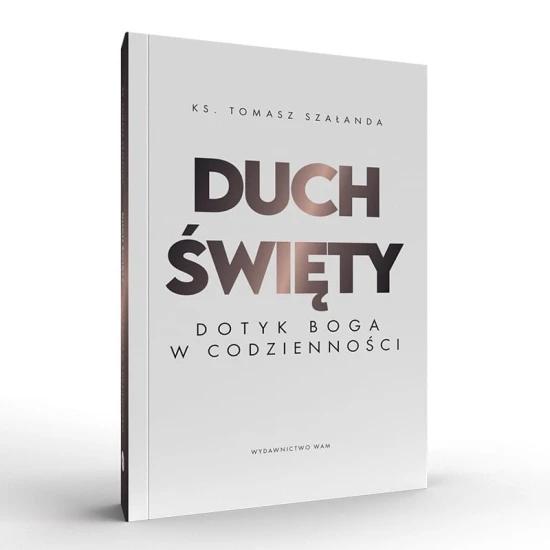Duch Święty Dotyk Boga w codzienności książka