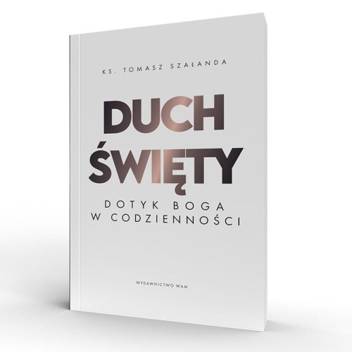Duch Święty Dotyk Boga w codzienności książka