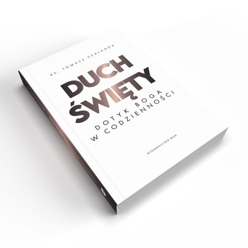 Duch Święty Dotyk Boga w codzienności książka
