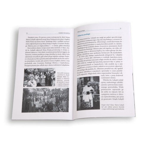 Wierny do końca. Biografia ks. Alojzego Łabędzia