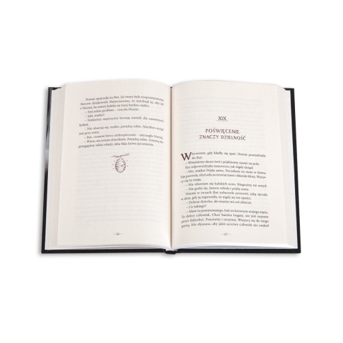 Rut i Noemi ks. Arkadiusz Paśnik