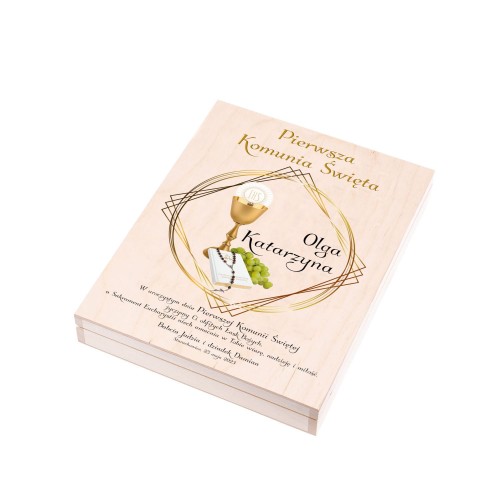 1725_UVPZ233 - projekt MODERN