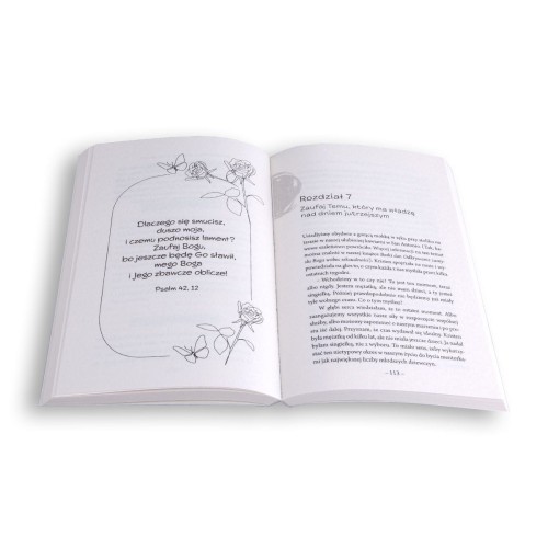 Boski plan Zaufać Bogu na życiowych zakrętach