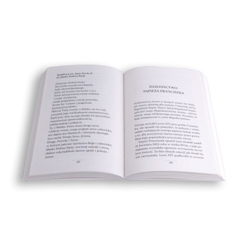 Leon XIV Droga pokoju, nadziei i pojednania