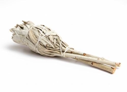 Biała Szałwia – naturalne kadzidło w pęczku