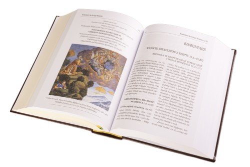 Tora – Pięcioksiąg Mojżesza w nowym opracowaniu