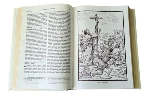 Biblia Papieska. Format A4, druk dużą czcionką