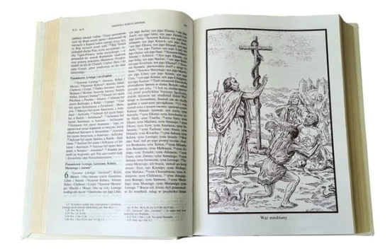 Biblia Papieska. Format A4, druk dużą czcionką