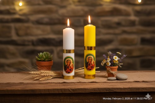 Wariant kolorystyczny biały i żółty.