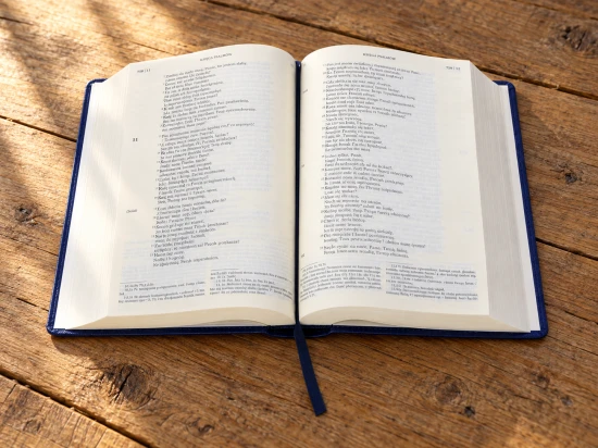 Granatowa okładka z oznaczeniem Biblia Tysiąclecia i nazwą Pallottinum.