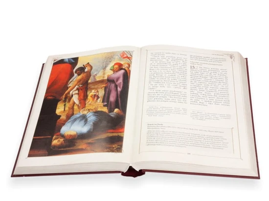 Pismo Święte Nowego Testamentu z ilustracjami