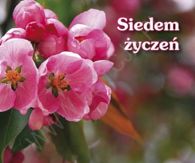 Siedem życzeń. Perełka