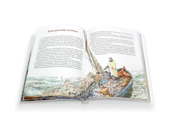 Biblia. Historia zbawienia w opowiadaniach z grawerem!