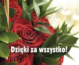 Dzięki za wszystko! Perełka 