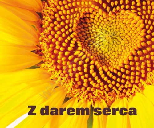 Z darem serca. Perełka