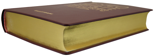 Biblia Tysiąclecia - Pismo Święte Starego i Nowego Testamentu