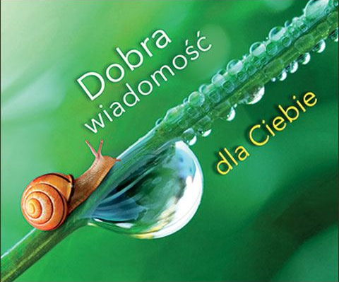Dobra wiadomość dla Ciebie. Perełka
